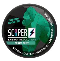 Scooper Energy Revolution Fresh Mint